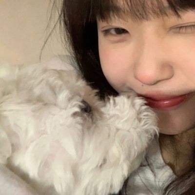 半岛官网入口网页版